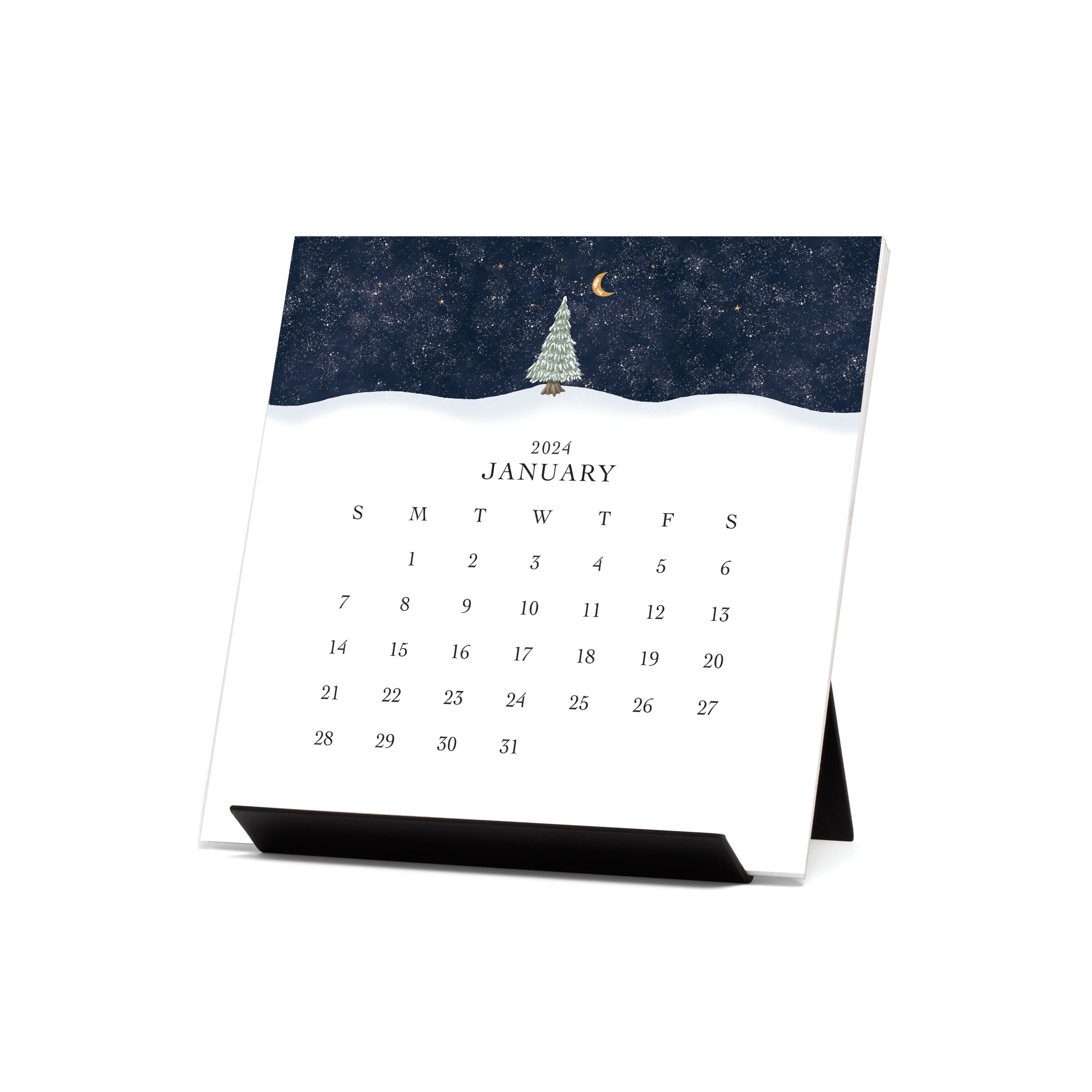  Twelve Months of Fishing Wall Calendar 2024, Monthly  January-December 12'' x 12 : Office Products