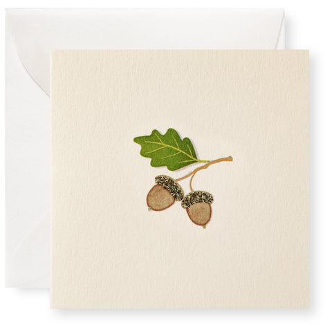 Harvest Acorns Individual Gift Enclosure