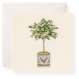 Lemon Tree Individual Gift Enclosure