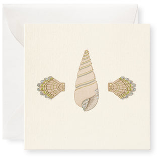 Seashells Individual Gift Enclosure