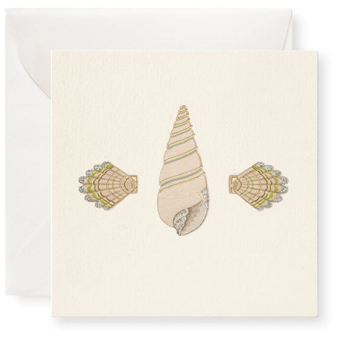 Sea Shells Individual Gift Enclosure