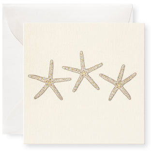 Sea Stars Individual Gift Enclosure