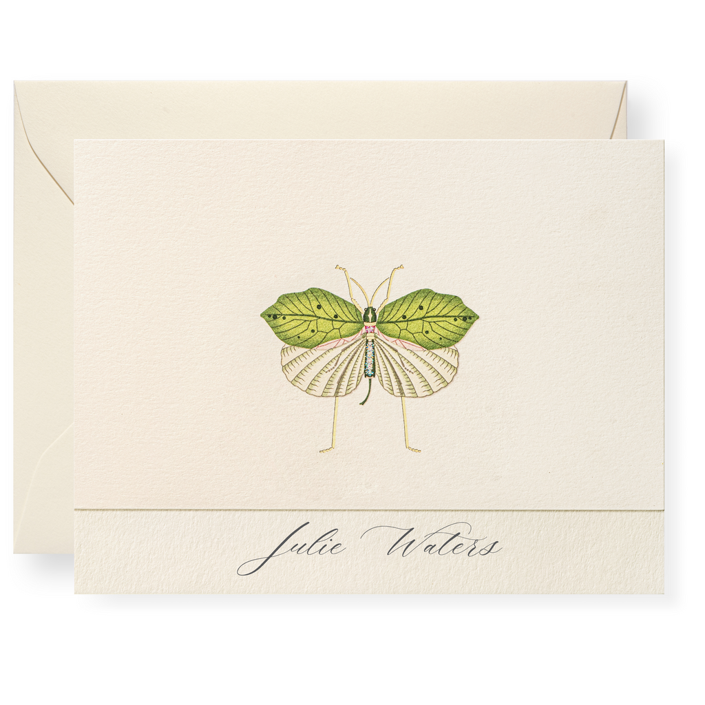 Fool's Bug Personalized Note Cards – Karen Adams Designs