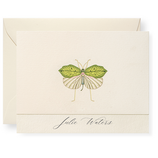 Fool's Bug Personalized Note Cards