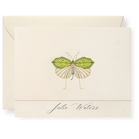 Fool's Bug Personalized Note Cards