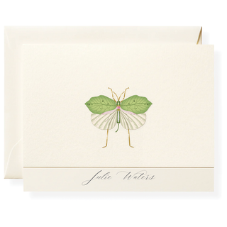 Fool's Bug Personalized Note Cards