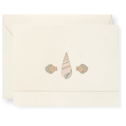 Sea Shells Individual Note Card