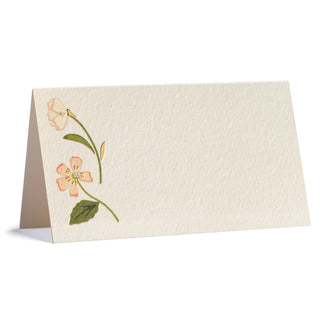 Miriam Place Cards