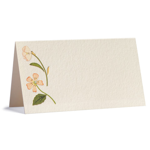 Miriam Place Cards