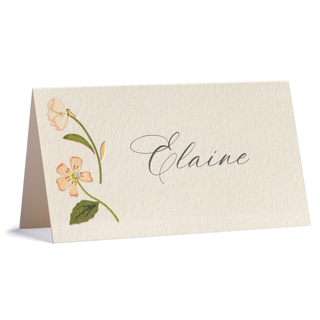 Miriam Place Cards