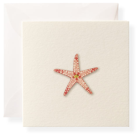 Sea Star Individual Gift Enclosure