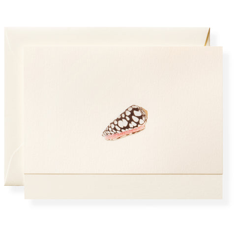 Cone Shell Individual Note Card