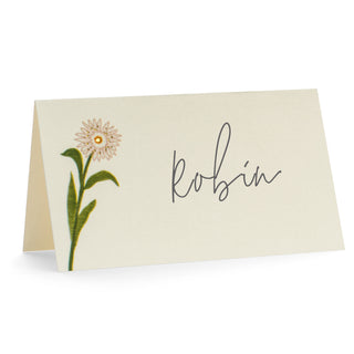 Robin Place Cards